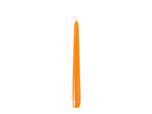 Een 50 x Dinerkaars Gotisch Oranje 22 X 240 mm koop je bij ShopXPress